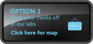 Option1-button